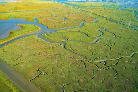 Estuary at Bair Island Marine Park in Redwood City, CA, aerial view