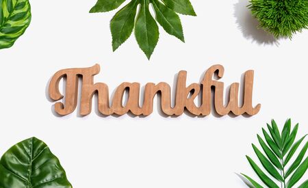 Thankful wooden text with green tropical leavesの写真素材