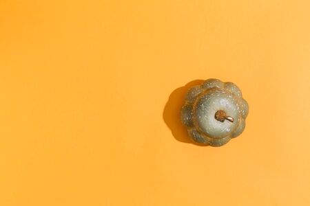 A autumn pumpkin on a orangeの写真素材