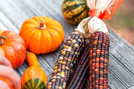 Variety of pumpkins and ornamental corn outside on a fall forest backgroundの写真素材