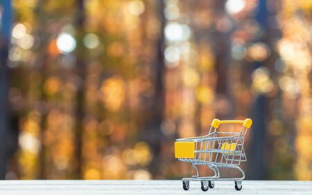 Fall season shopping theme with shopping cart on a fall forest backgroundの写真素材