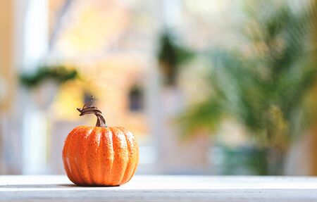 Little pumpkin on a bright interior room backgroundの写真素材