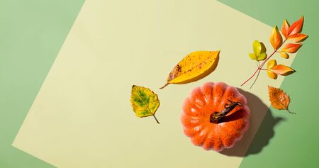 Autumn pumpkin from above - overhead view flat lay