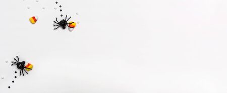 Halloween spiders overhead view on a solid colorの写真素材