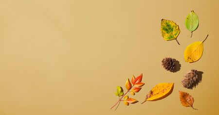 Autumn leaves from above - overhead view flat lay
