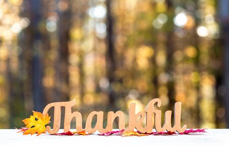 Thankful message in wooden letters Thanksgiving theme on a fall forest backgroundの写真素材