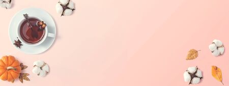 Black tea with cinnamon sticks and star anise - overhead viewの写真素材