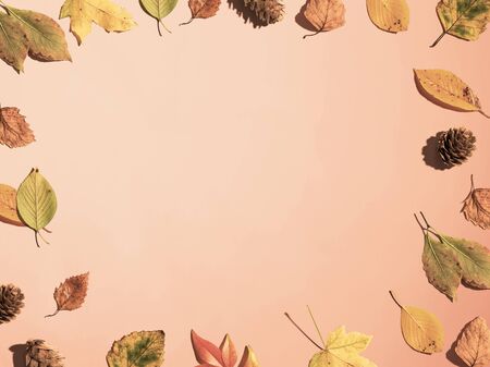 Autumn leaf border frame from above - flat lay