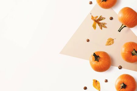 Autumn pumpkins with leaves - overhead view flat lay