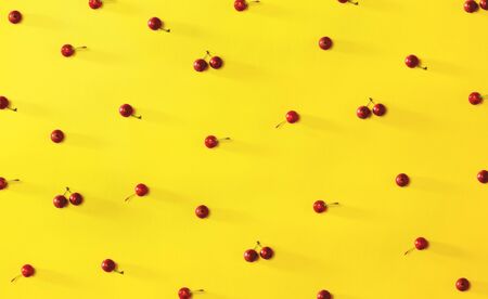 Collection of small red berries - flat layの写真素材