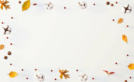 Autumn leaves and cotton flowers - flat lay