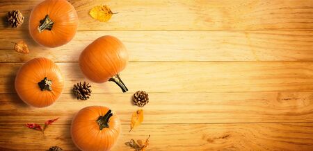 Autumn pumpkins with leaves - overhead view flat layの写真素材