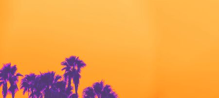 Beautiful sunset of Los Angeles palm trees synth wave styleの写真素材