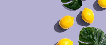 Fresh yellow lemons overhead view - flat layの写真素材