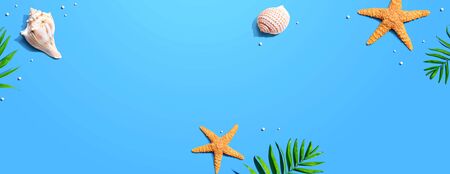 Summer concept with starfish and seashells overhead view - flat layの写真素材