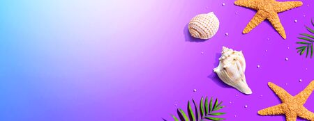 Summer concept with starfish and seashells overhead view - flat layの写真素材