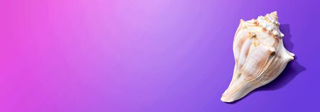 Summer concept with a seashell overhead view - flat layの写真素材