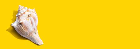 Summer concept with a seashell overhead view - flat layの写真素材