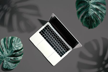 Laptop computer with tropical leaves from aboveの写真素材