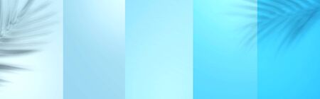 Shadow background of tropical palm leaves - flat layの写真素材