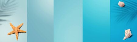 Summer concept with starfish and seashells overhead view - flat layの写真素材