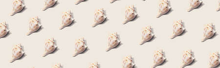 Summer concept with seashells overhead view - flat lay