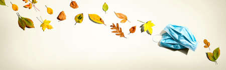 Facial masks with autumn leaves - flat layの写真素材