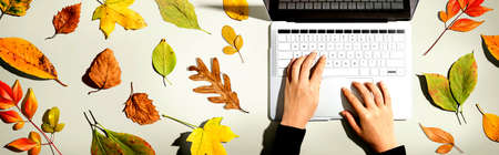 Autumn leaves with person using a laptop computer from aboveの写真素材