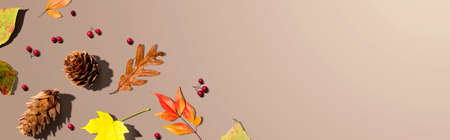 Colorful autumn leaves with pinecones overhead view - flat lay