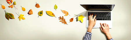 Autumn leaves with person using a laptop computer from above