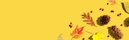 Colorful autumn leaves with pinecones overhead view - flat lay