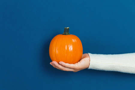 Woman holding an orange pumpkin on a blue background