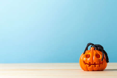 Halloween pumpkin with spider on a blue backgroundの写真素材