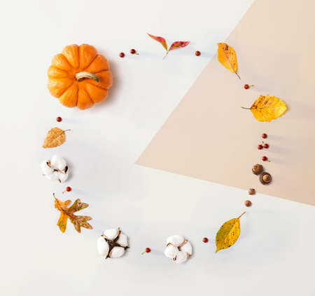 Autumn theme with orange pumpkin - flat lay