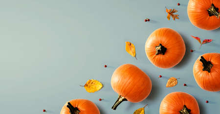 Autumn pumpkins with colorful leaves overhead view - flat lay