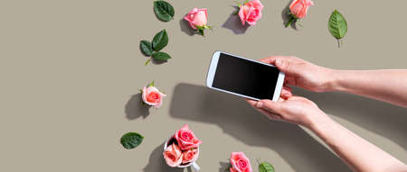 Woman holding her smartphone with pink roses overhead view - flat layの写真素材