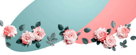 Pink roses with green leaves overhead view - flat layの写真素材