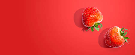 Fresh red strawberries overhead view - flat layの写真素材