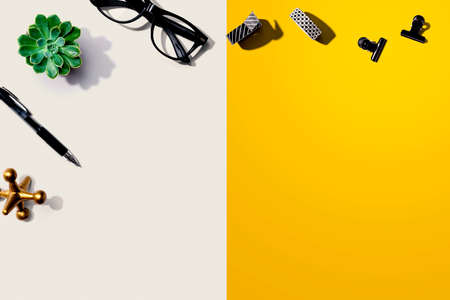 Office supplies and a plantの写真素材