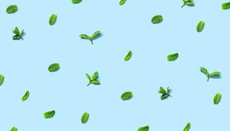 Fresh mint leaves overhead viewの写真素材
