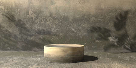 3D render of minimal podiums and geometric shapes with shadow of the tropical plantsの写真素材