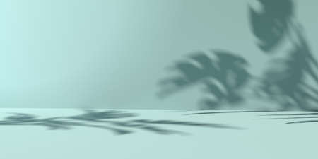 Shadow background of tropical monstera leaves