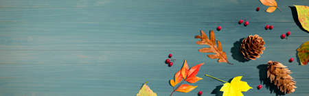 Colorful autumn leaves with pineconesの写真素材