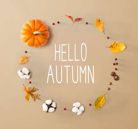 Hello autumn message with autumn leaves and orange pumpkinの写真素材