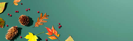 Colorful autumn leaves with pinecones