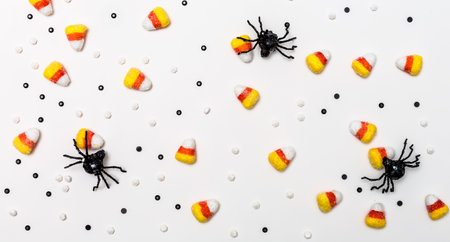 Halloween spiders overhead viewの写真素材