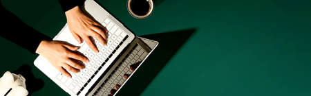 Person using a laptop computer with a piggy bankの写真素材