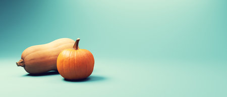 Autumn pumpkin and butternut squash - Harvest and Thanksgiving theme - 3dの写真素材