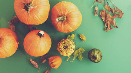 Autumn pumpkins - Harvest and Thanksgiving theme - 3dの写真素材