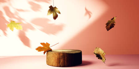 Autumn leaves with a round wooden podium - 3Dの写真素材